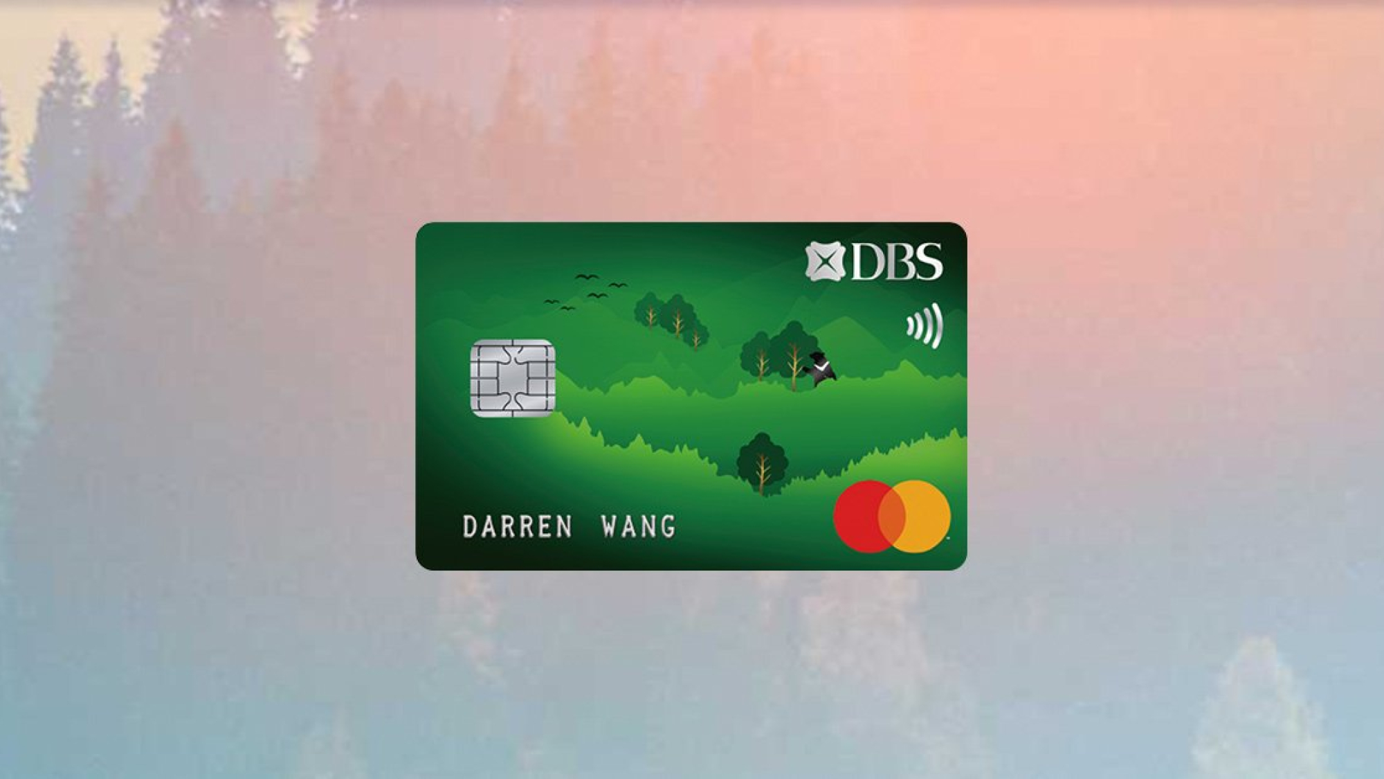 dbs-ecocard